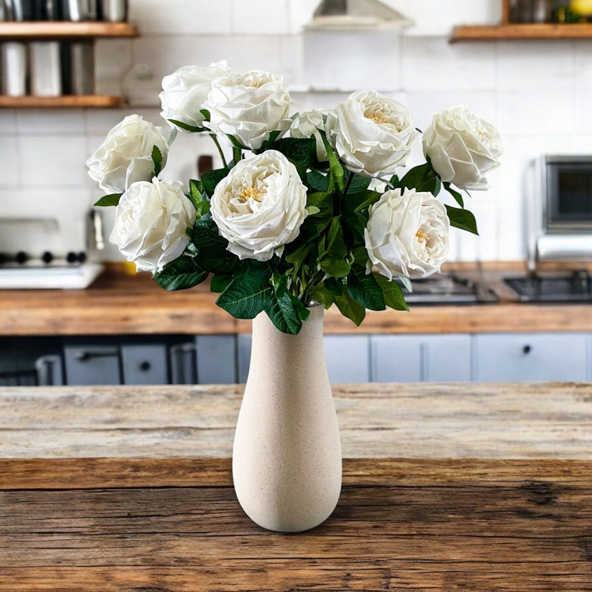 Charlotte - Ivory