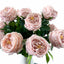 Charlotte - Pink