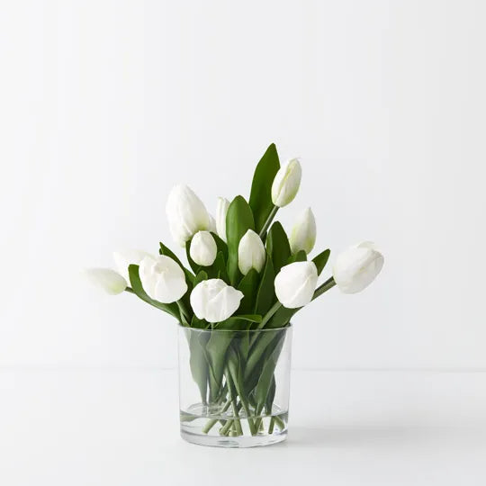 White Winter Medium