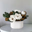 Sweet Magnolia