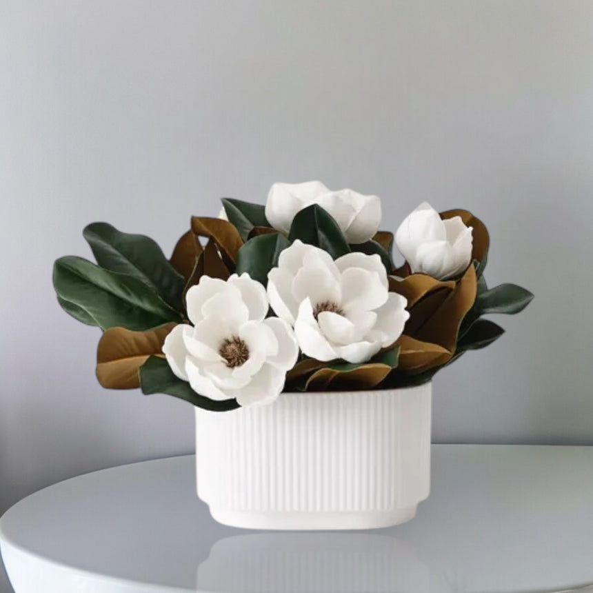 Sweet Magnolia