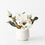Sweet Magnolia Small