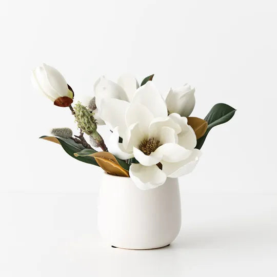 Sweet Magnolia Small