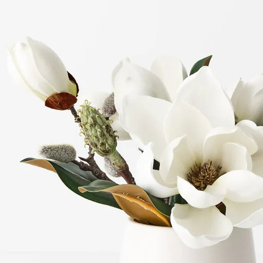 Sweet Magnolia Small