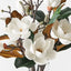 Sweet Magnolia Large