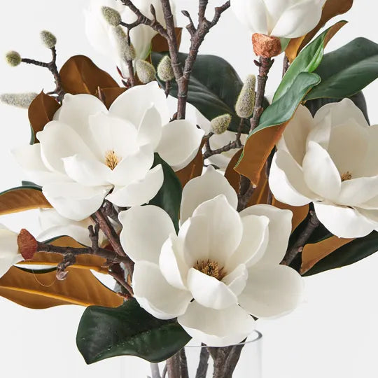 Sweet Magnolia Large