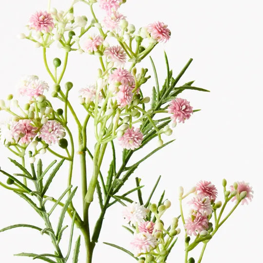 Gypsophila - Baby’s Breath Light Pink