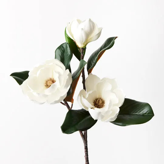 Magnolia Flower Spray