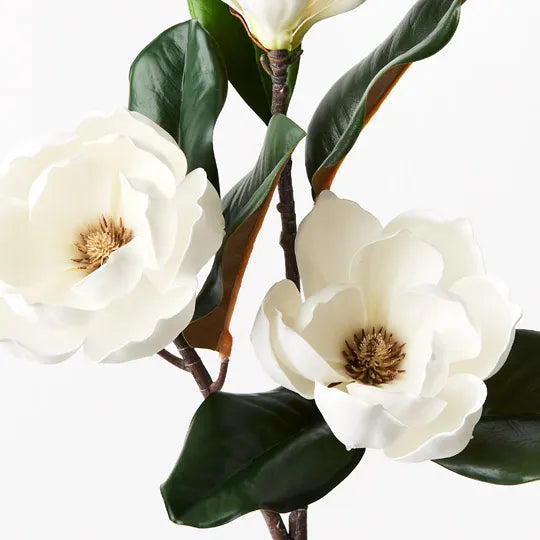 Magnolia Flower Spray