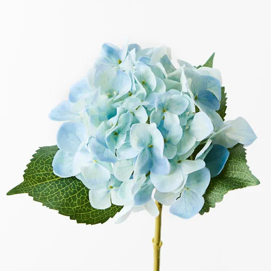 Hydrangea - Light Blue