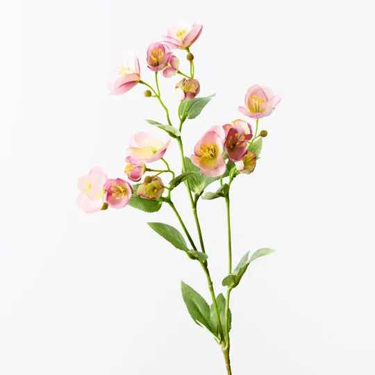 Hellebore Spray - Pink