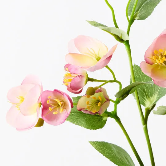 Hellebore Spray - Pink