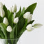 White Winter