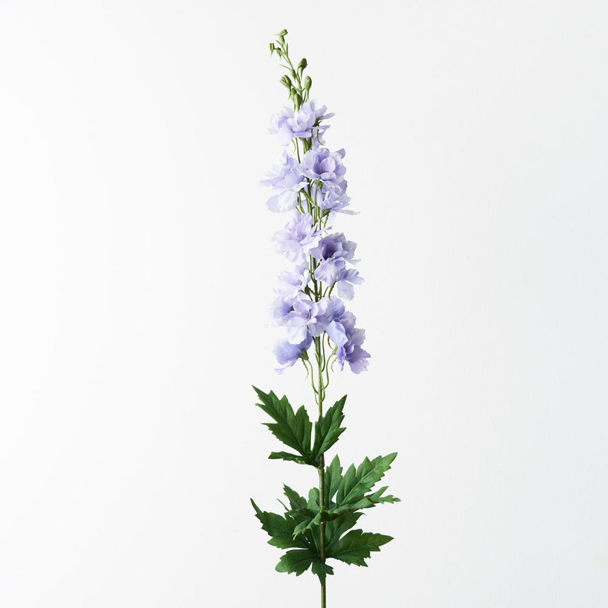 Delphinium (Lavender)