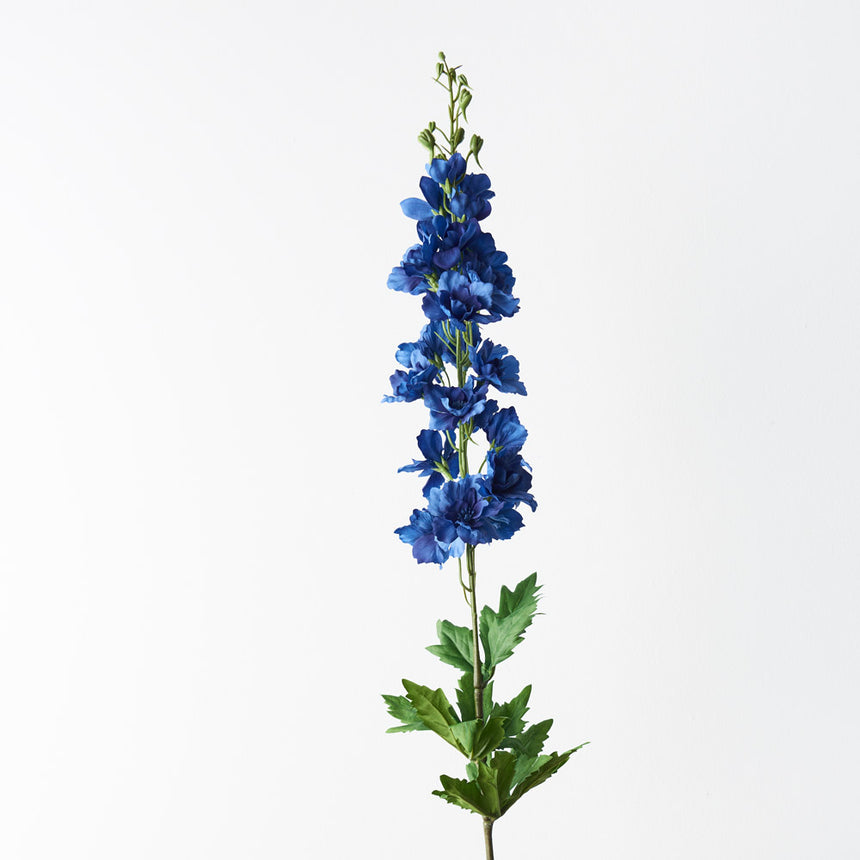 Delphinium (Blue)