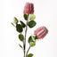 Banksia Spray (Pink)