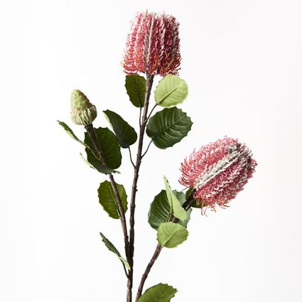 Banksia Spray (Pink)