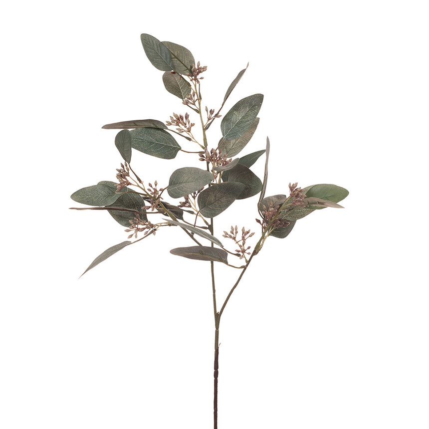 Eucalyptus Leaf and Seed (Grey)