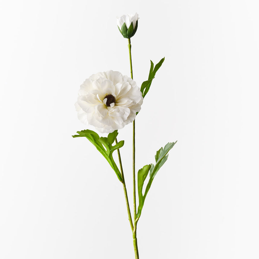 Ranunculus Spray - White