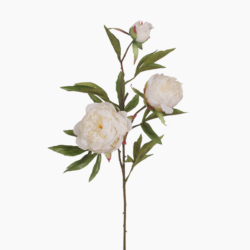 Peony and Bud (White)