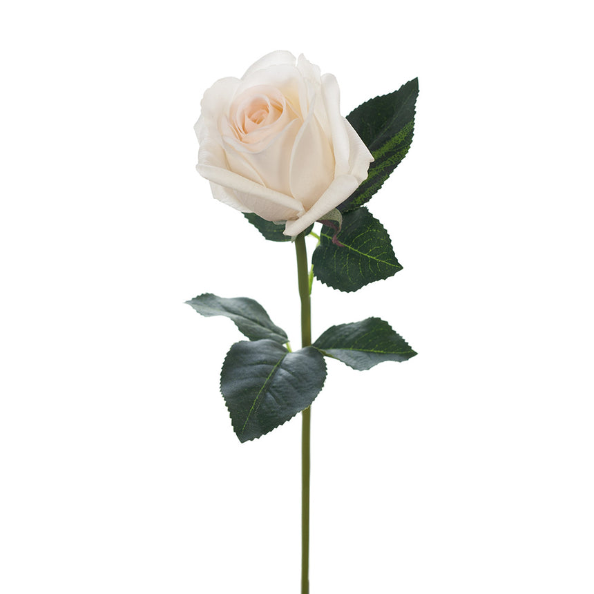 Bella Rosebud (Ivory)