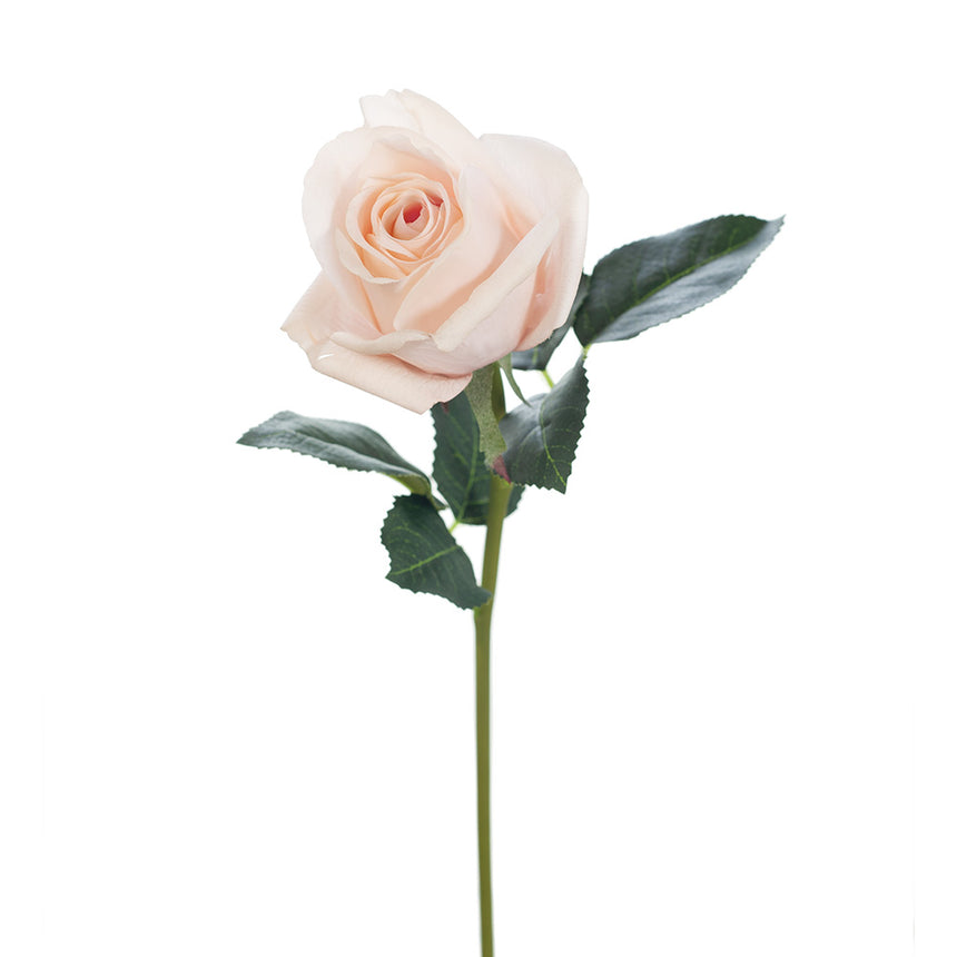 Bella Rosebud (Soft Pink)