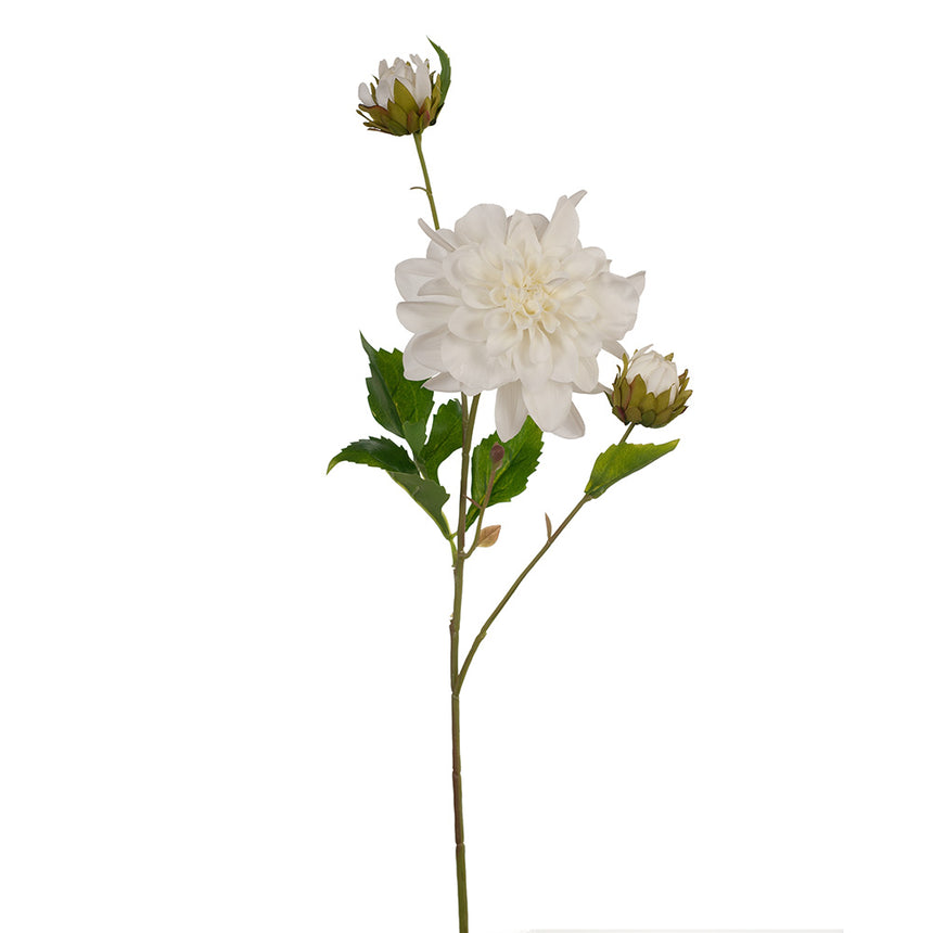 Dahlia - Pom Pom (White)