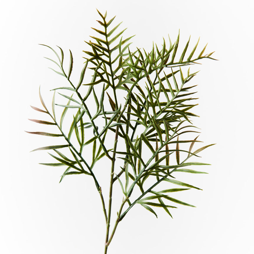 Grevillea Leaf Spray