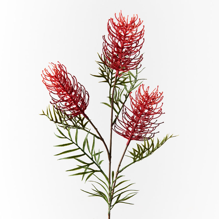 Grevillea Spray (Red)