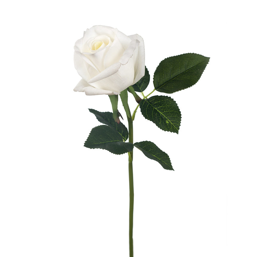 Bella Rosebud (White)