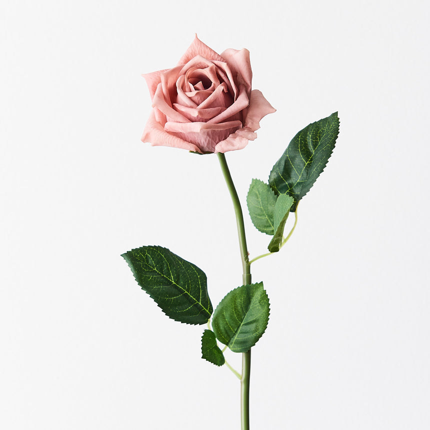 Lola Rose (Dusty Pink)