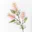 Grevillea Spray (Light Pink)