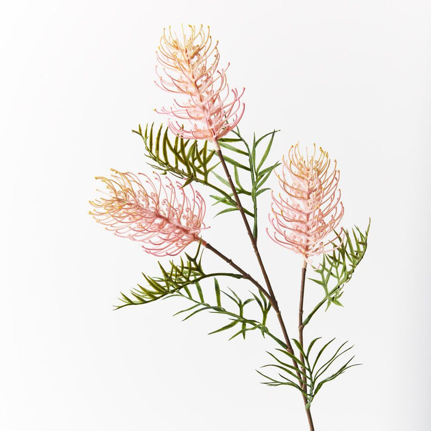 Grevillea Spray (Light Pink)