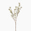 Wax Flower (White) Large