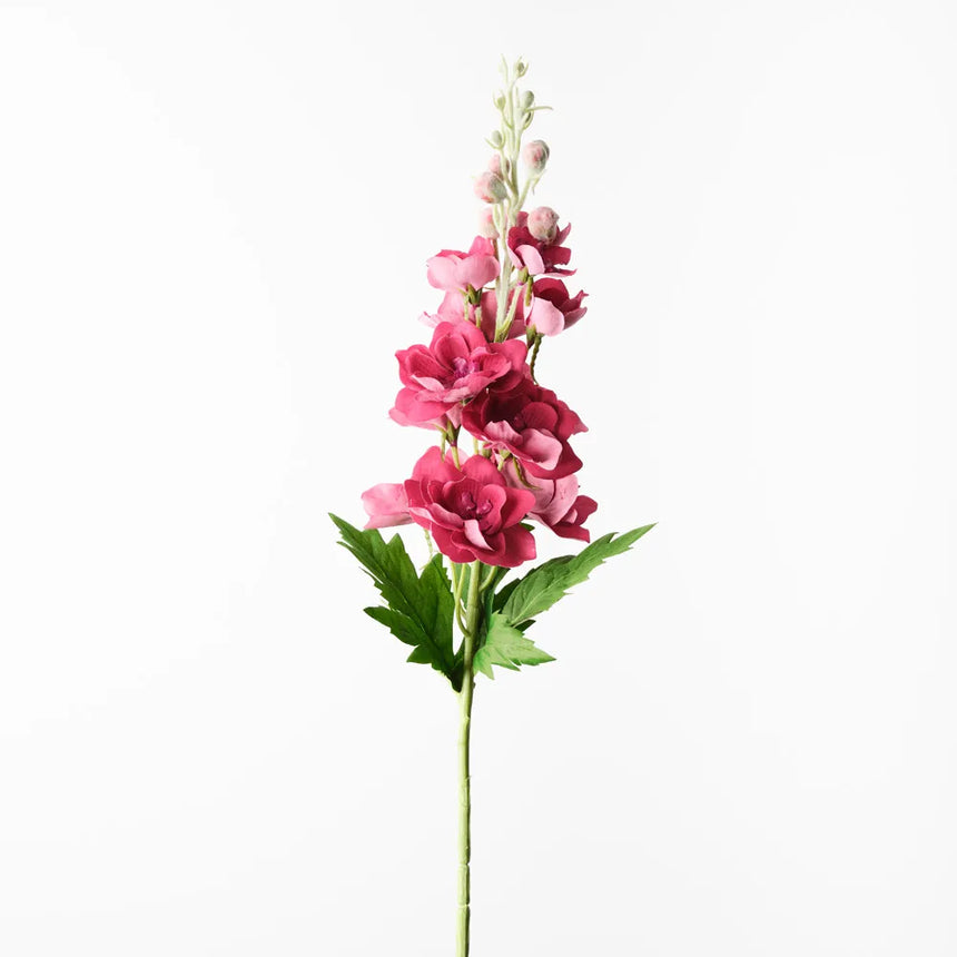 Delphinium - Plum