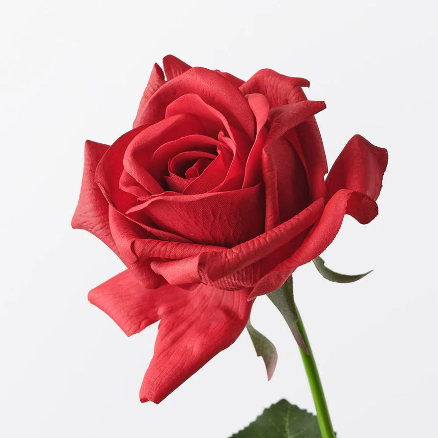 Kim Rose - Red