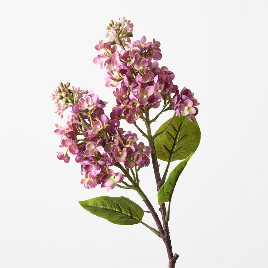 Lilac Spray