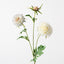 Scabiosa Spray - White