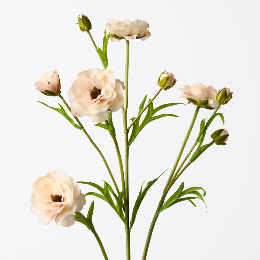 Ranunculus Spray
