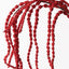 Amaranthus - Red