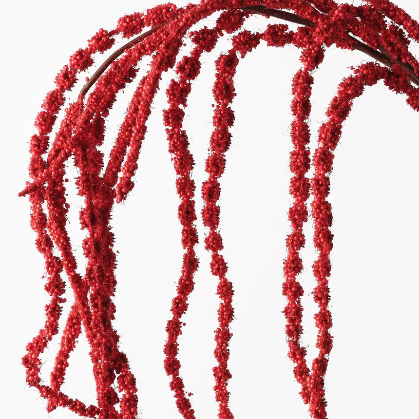 Amaranthus - Red