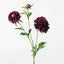 Scabiosa Spray - Plum