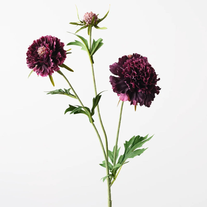 Scabiosa Spray - Plum
