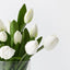 White Winter Medium