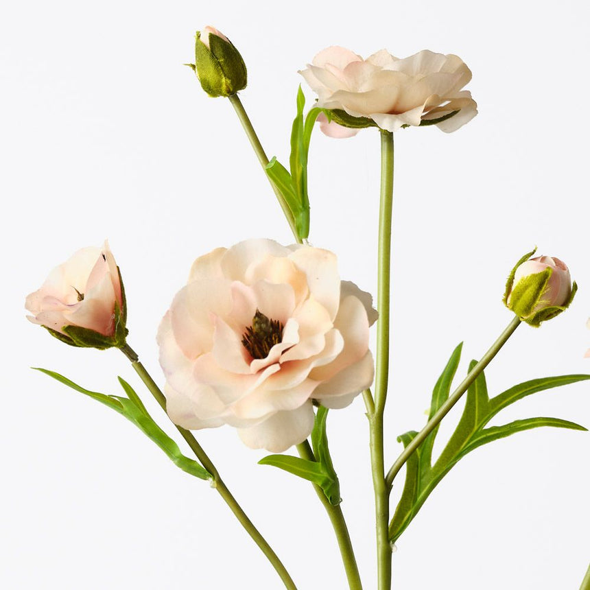 Ranunculus Spray