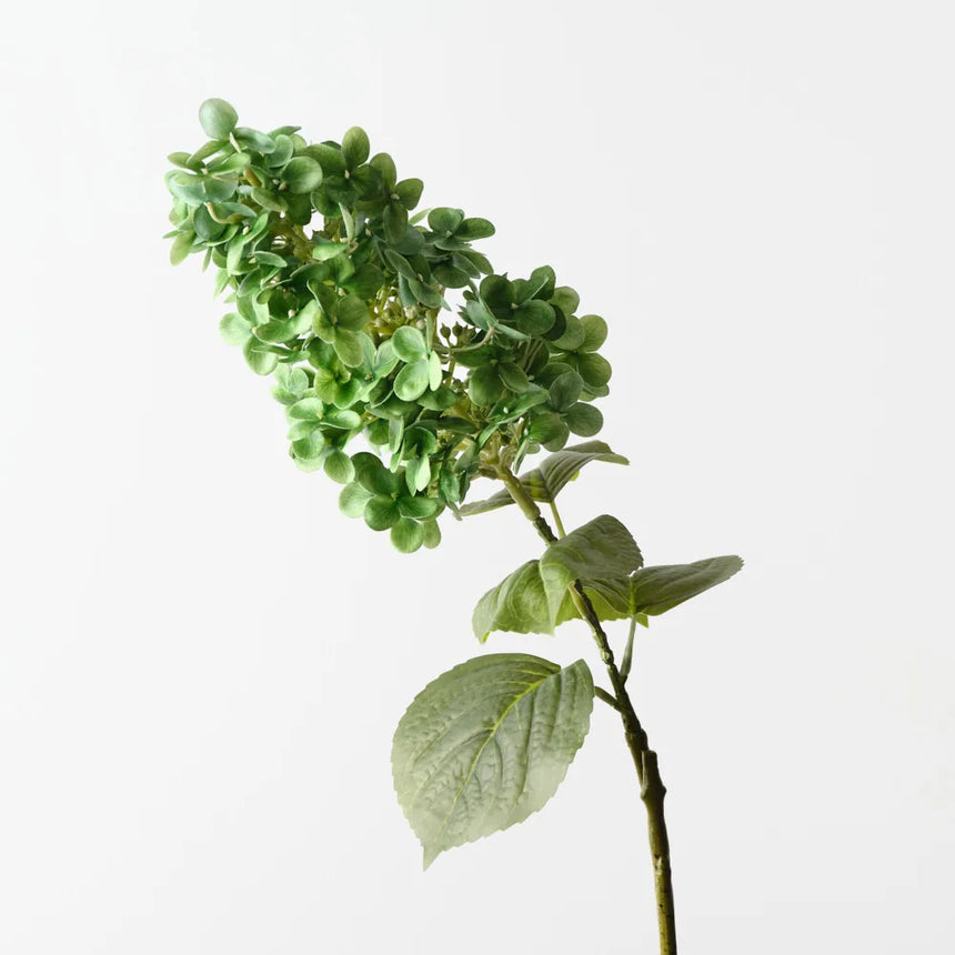 Hydrangea Cone