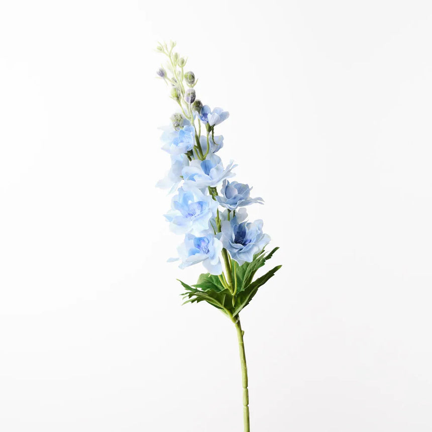 Delphinium - Light Blue