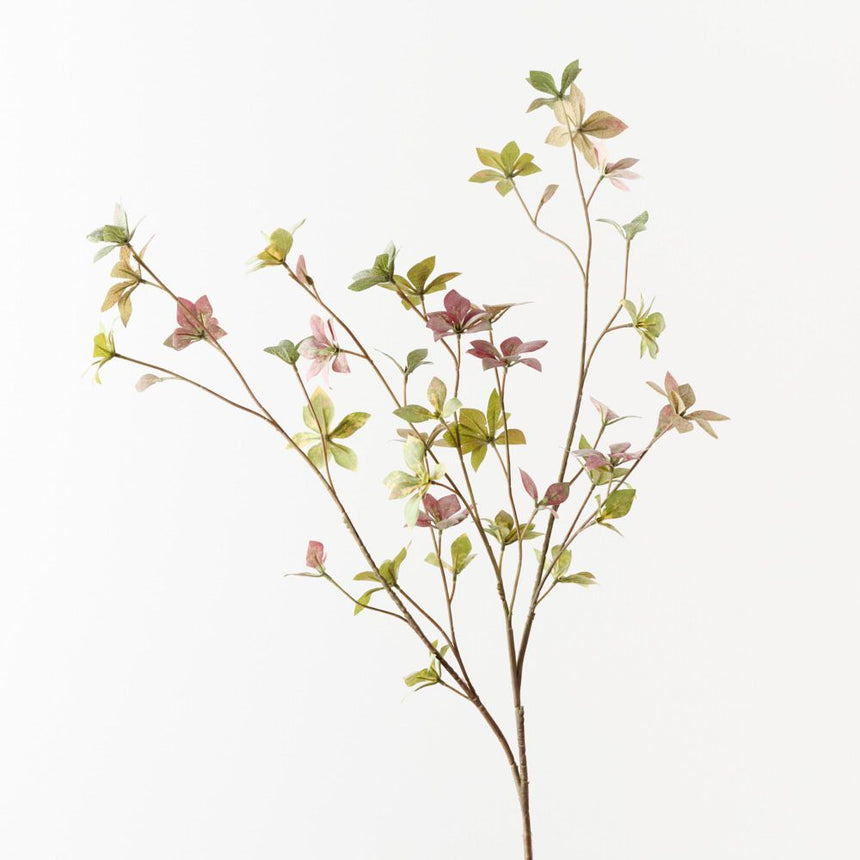 Enkianthus Leaf Spray