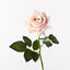 Kim Rose - Soft Pink