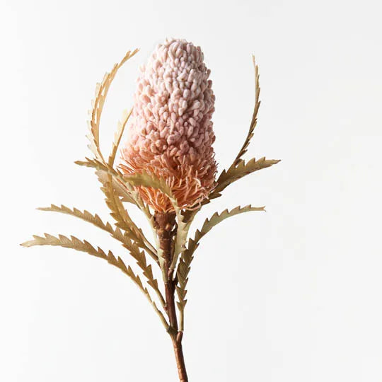 Banksia Acorn (Light Pink)